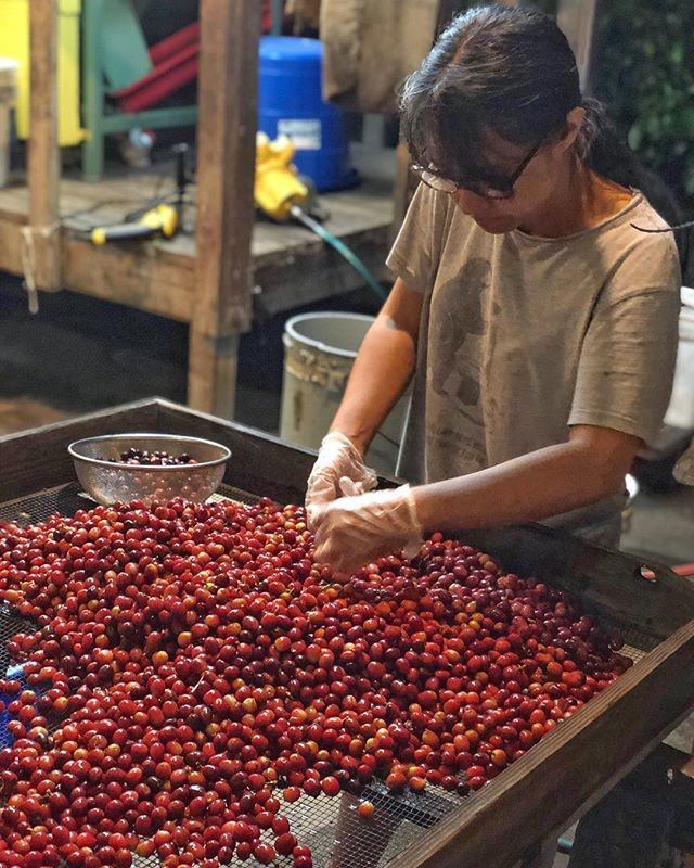 Made Like Iron Hawaiian Coffee - Hawaiian Flair