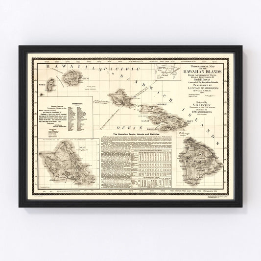 Vintage Map of Hawaii 1893 - Hawaiian Flair