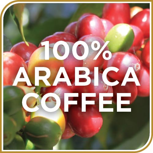 Don Francisco's Hawaiian Hazelnut Ground Flavored Coffee: Rich, Aromatic 100% Arabica Beans - (3 x 12 oz Recyclable Cans) - Hawaiian Flair